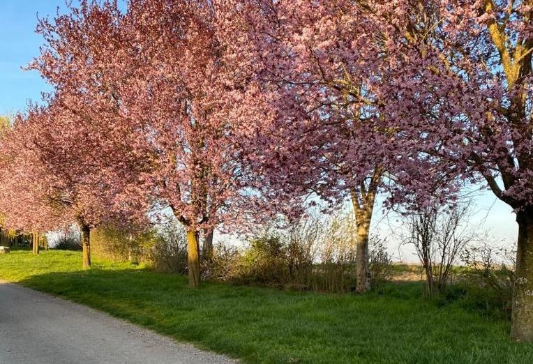 Gite A La Ferme - Confort & Nature Senouillac Bagian luar foto